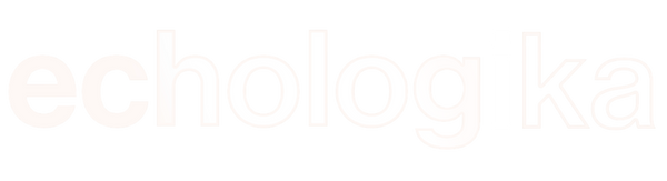 Echologika Ltd